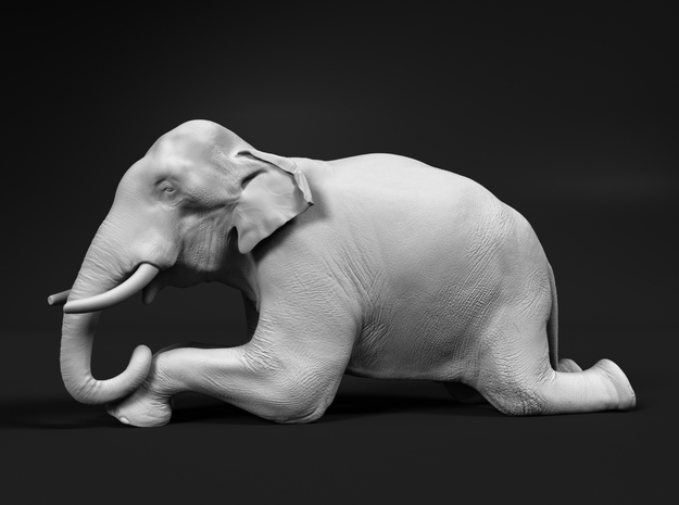 Indian Elephant 1:9 Kneeling Male in White Natural Versatile Plastic