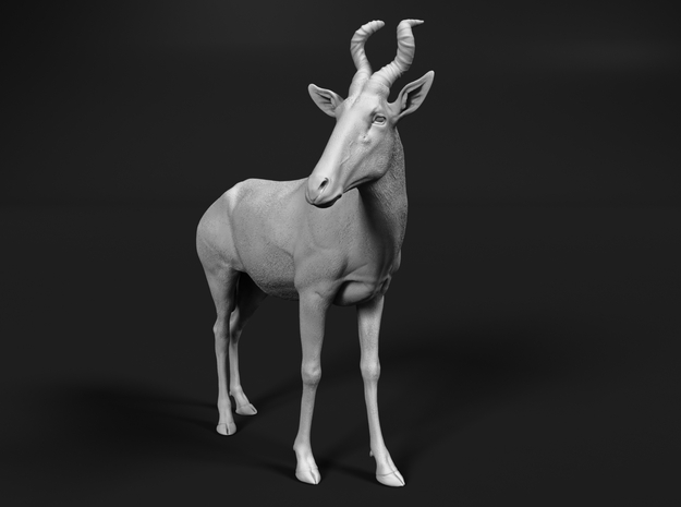 Red Hartebeest 1:9 Standing Male in White Natural Versatile Plastic