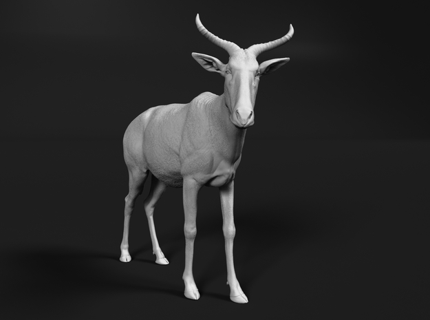 Tora Hartebeest 1:25 Standing Male in White Natural Versatile Plastic