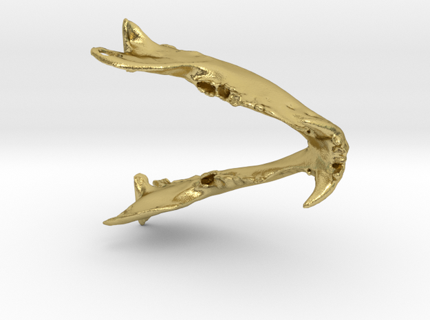 Bear Jaw Pendant in Natural Brass