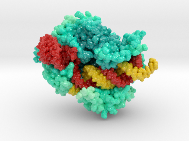 CRISPR Cas13d 6E9F in Glossy Full Color Sandstone: Extra Small