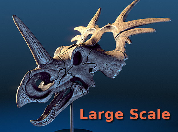 Styracosaurus - large scale dinosaur skull in White Natural Versatile Plastic: Small