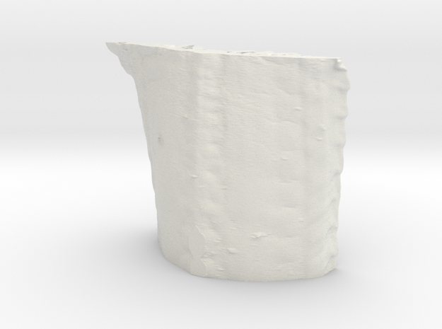 Radula 1million 10cm in White Natural Versatile Plastic