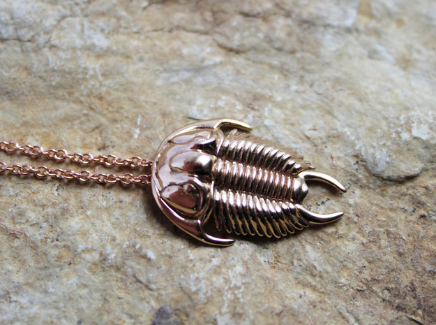 Tricrepicephalus Trilobite Pendant  in Polished Bronze