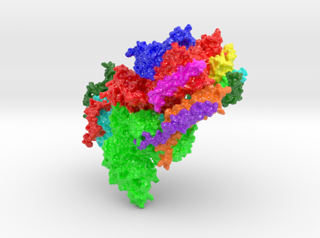 Oligosaccharyltransferase Complex OST-B (Large) in Glossy Full Color Sandstone
