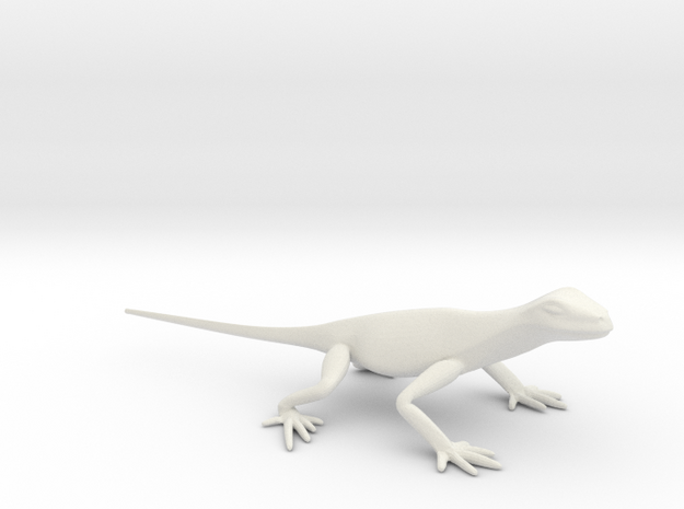 Lizard 8 small in White Natural Versatile Plastic
