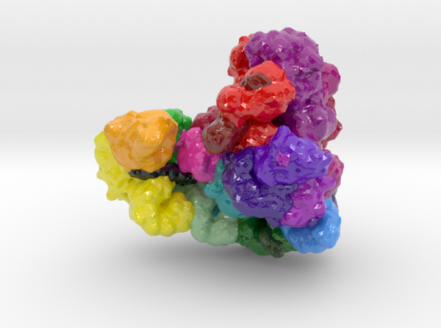 Anaphase-Promoting Complex (Cyclosome) in Glossy Full Color Sandstone