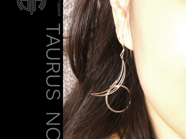 Taurus Earrings  in Polished Silver (Interlocking Parts)