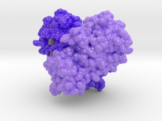 SARS-COV Main Protease 6LU7 in Glossy Full Color Sandstone: Small