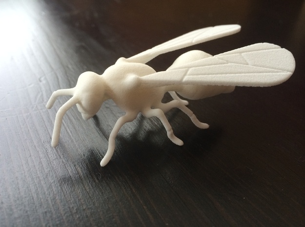 Detailed Wasp 42mm in White Natural Versatile Plastic