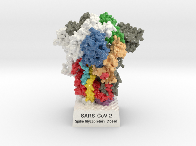 SARS-CoV-2 Spike Glyocoprotein 'Closed' 6VXX-v2 in Glossy Full Color Sandstone: Large