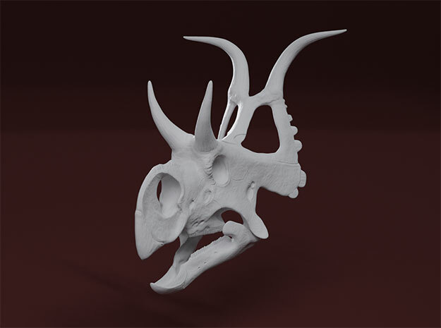 Diabloceratops skull in White Natural Versatile Plastic: 1:18