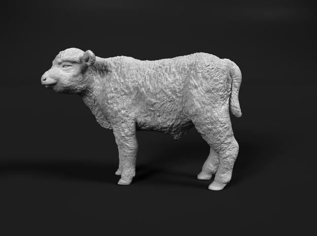 Highland Cattle 1:9 Standing Calf in White Natural Versatile Plastic