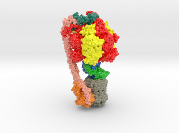 ATP Synthase 6OQV in Glossy Full Color Sandstone: Medium
