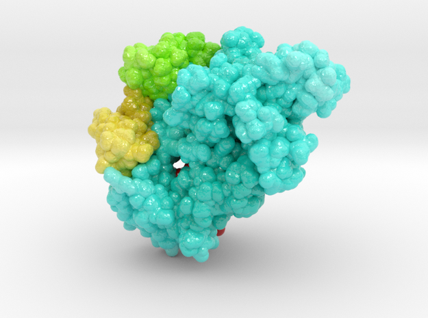 SARS-CoV-2 RNA Polymerase inhibited by Remdesivir in Glossy Full Color Sandstone: Extra Small