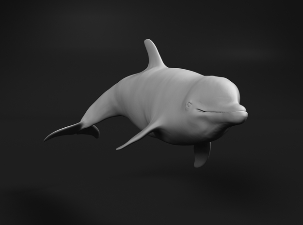 Bottlenose Dolphin 1:22 Swimming 1 in White Natural Versatile Plastic