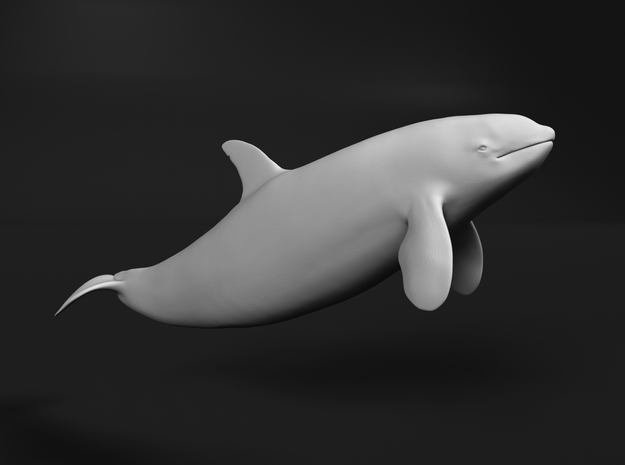 Killer Whale 1:220 Swimming Female 1 in Tan Fine Detail Plastic