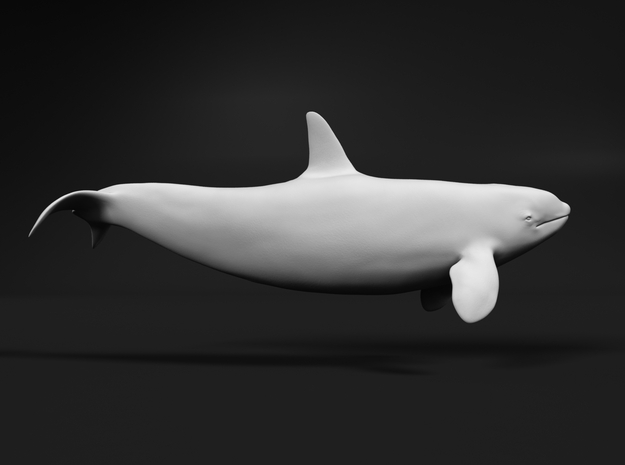 Killer Whale 1:76 Swimming Female 2 in White Natural Versatile Plastic