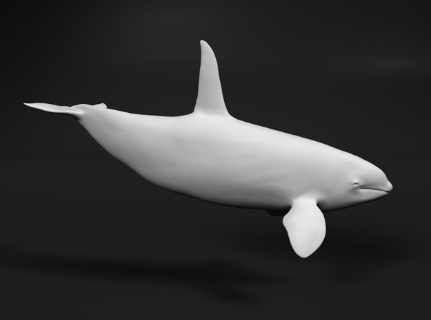 Killer Whale 1:120 Swimming Male in Tan Fine Detail Plastic