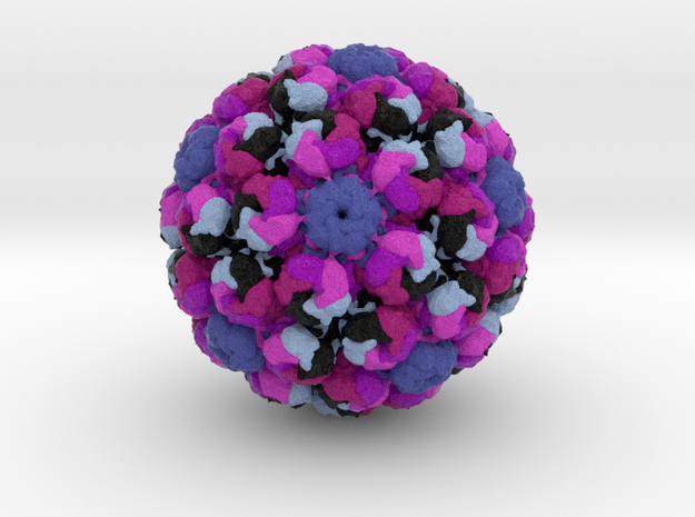 Merkel Cell Polyomavirus in Natural Full Color Sandstone
