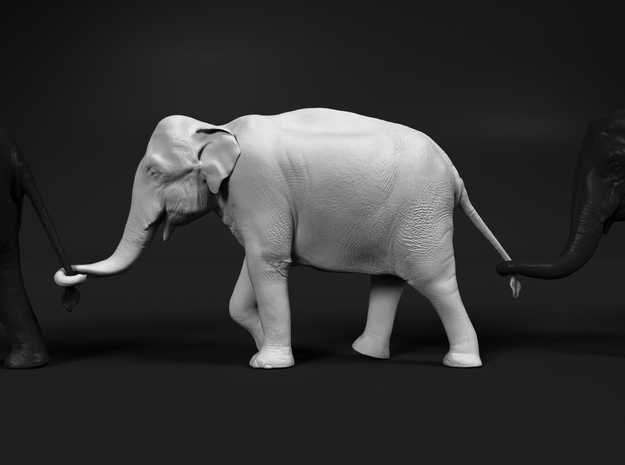 Indian Elephant 1:16 Female walking in a line 2 in White Natural Versatile Plastic