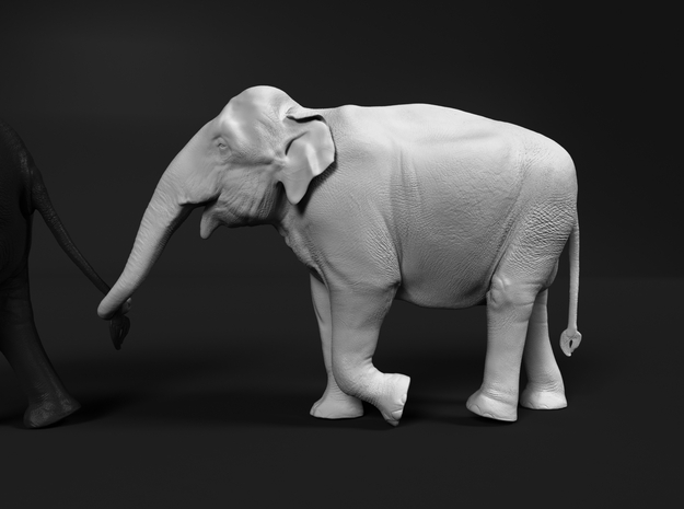 Indian Elephant 1:35 Female walking in a line 4 in White Natural Versatile Plastic