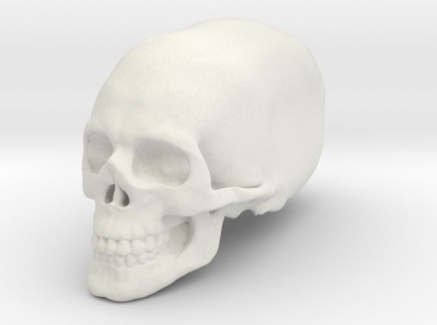 Elongated skull in White Natural Versatile Plastic