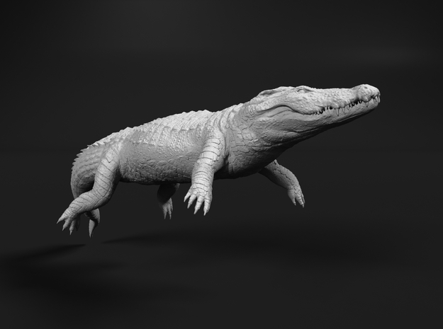 Nile Crocodile 1:16 Lying in Water in White Natural Versatile Plastic