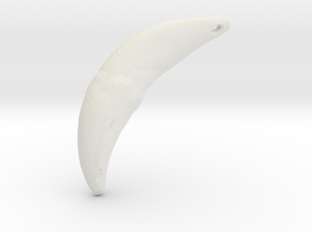 Wolf Fang Pendant (L) 3D-scan composite (DOWNLOAD)