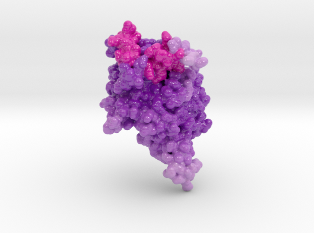 Hyaluronidase 1 2PE4 in Glossy Full Color Sandstone: Small