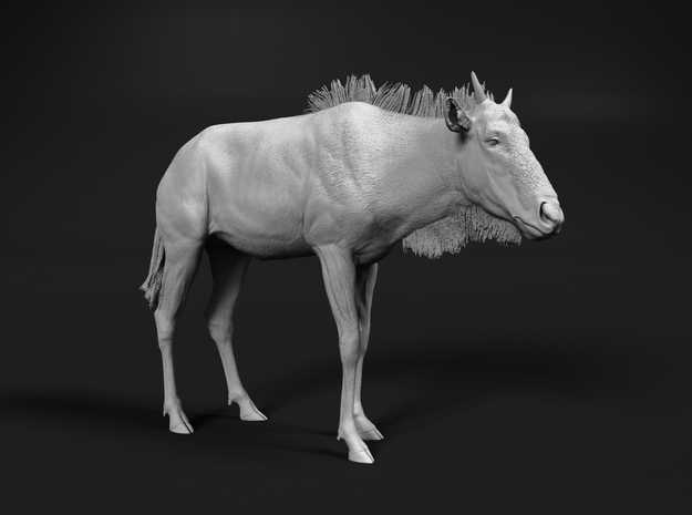 Blue Wildebeest 1:15 Standing Juvenile in White Natural Versatile Plastic