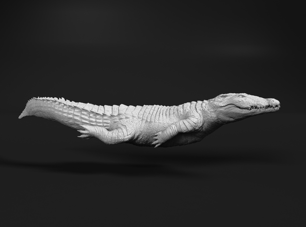 Nile Crocodile 1:22 Smaller one swimming in White Natural Versatile Plastic