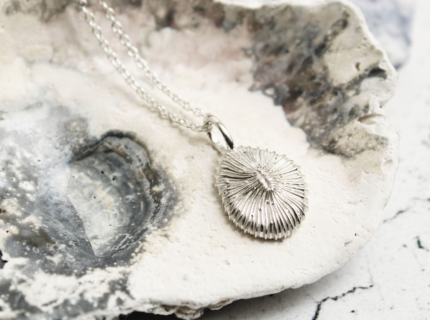 Fungia Coral Pendant in Polished Silver