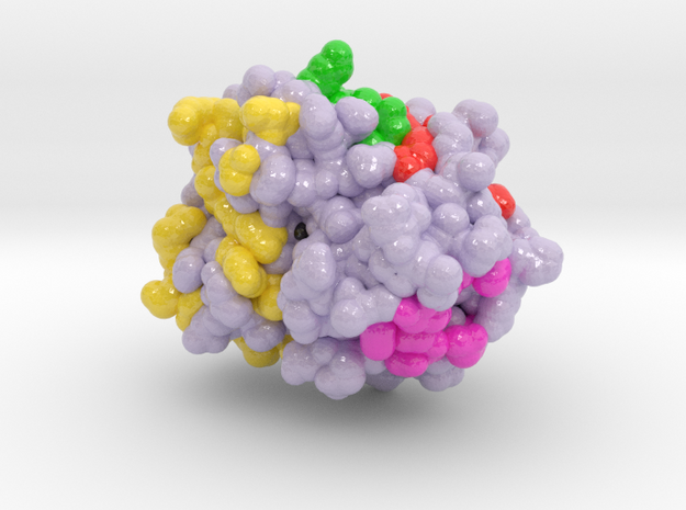 Protein Phosphatase 1 4MOV in Glossy Full Color Sandstone: Small