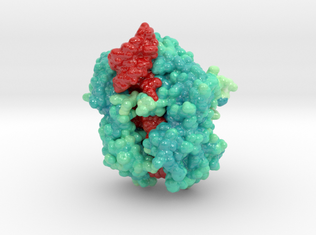 CRISPR-Collection Cas13d 6IV9 in Glossy Full Color Sandstone: Extra Small