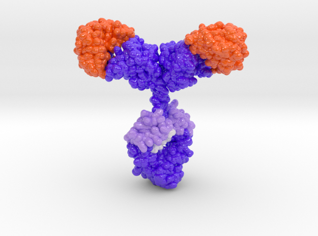 Recombinant Antibody in Glossy Full Color Sandstone: Medium