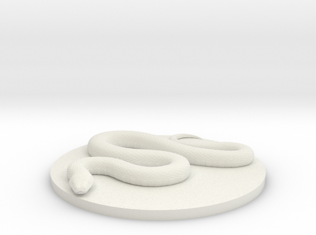 Constrictor Snake Updated in White Natural Versatile Plastic