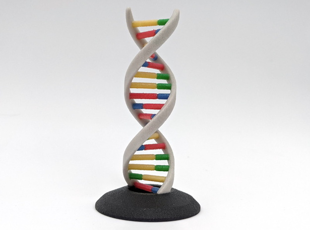 DNA Helix Desk Model Ornament in Glossy Full Color Sandstone