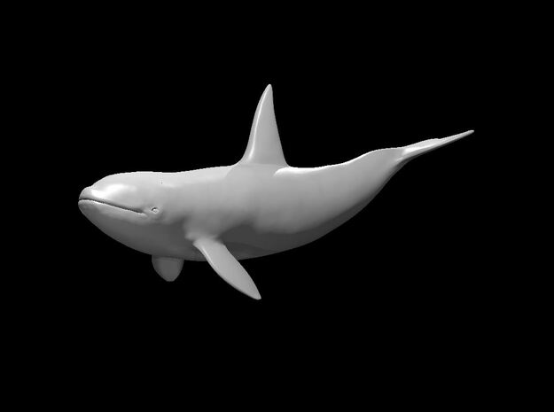 Killer Whale in White Natural Versatile Plastic