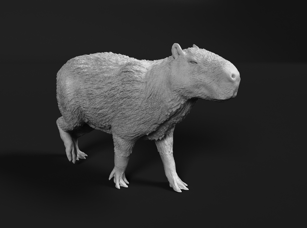 Capybara 1:6 Walking Male in White Natural Versatile Plastic