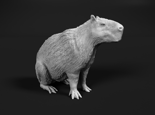 Capybara 1:9 Sitting Female in White Natural Versatile Plastic