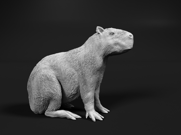 Capybara 1:12 Sitting Young in White Natural Versatile Plastic