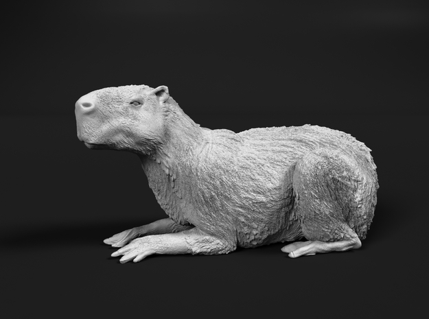 Capybara 1:9 Lying Female in White Natural Versatile Plastic
