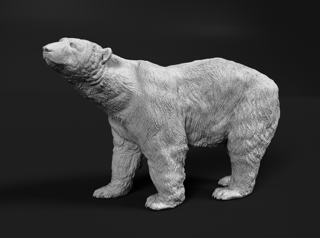 Polar Bear 1:45 Large Male in Tan Fine Detail Plastic