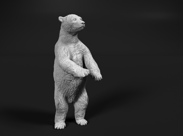 Polar Bear 1:16 Juvenile on two legs in White Natural Versatile Plastic