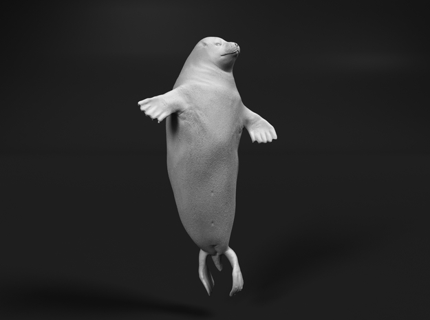 Ringed Seal 1:6 Head above the water in White Natural Versatile Plastic