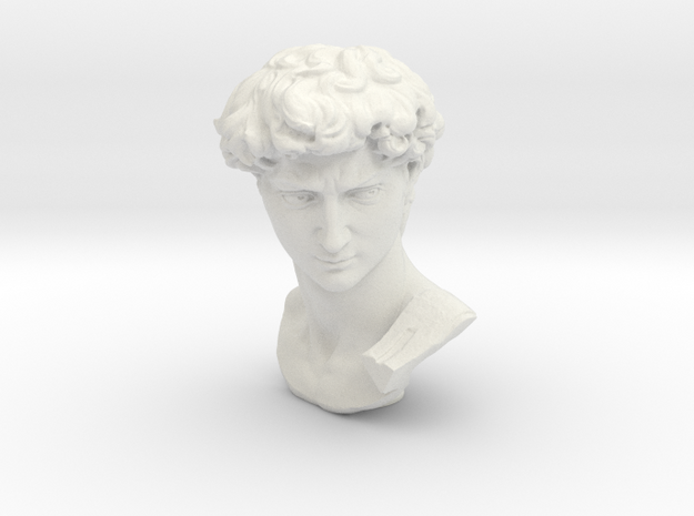 Head of Michelangelo's David in White Natural Versatile Plastic