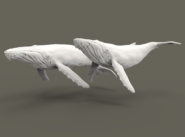 Humpback Whale 1:1000 Set of 2 different pieces in Tan Fine Detail Plastic
