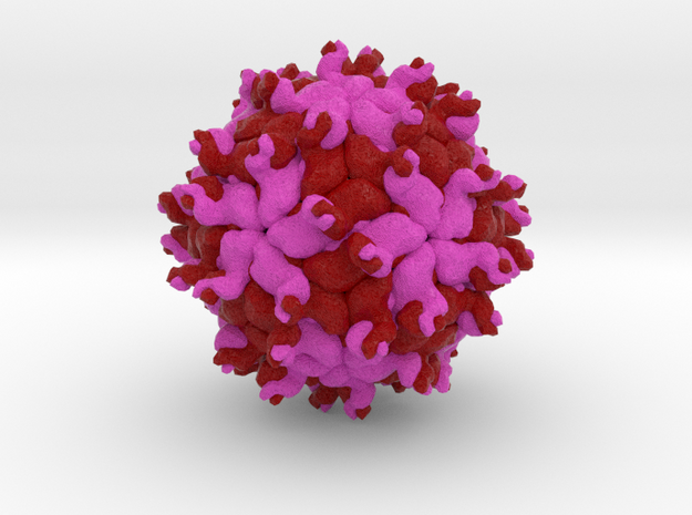 Pepper Cyptic Virus in Natural Full Color Sandstone