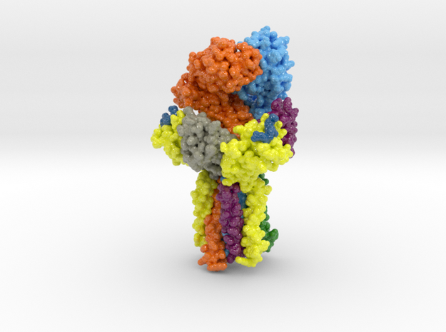 T cell receptor CD3 Complex 6JXR in Glossy Full Color Sandstone: Medium